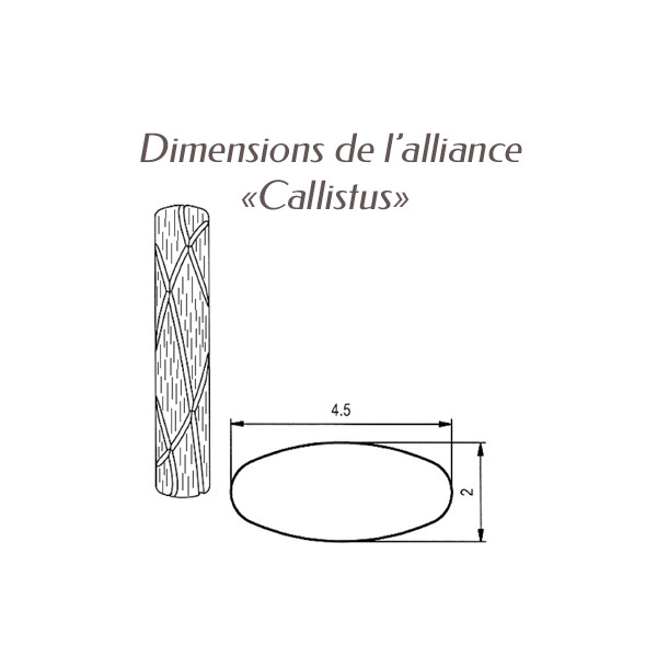 alliance Breuning argent callistus dimensions