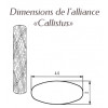 alliance Breuning argent callistus dimensions