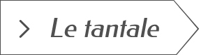 Guide des bijoux tantale
